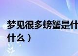 梦见很多螃蟹是什么预兆（梦见很多螃蟹预兆什么）