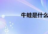 牛蛙是什么梗（牛蛙的意思）