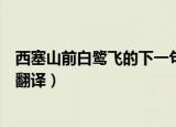 西塞山前白鹭飞的下一句是什么（西塞山前白鹭飞的原文及翻译）