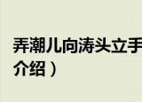 弄潮儿向涛头立手把红旗旗不湿的意思（全诗介绍）