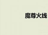 魔尊火线（魔尊火线1 4）