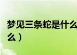 梦见三条蛇是什么意思（梦见三条蛇意思是什么）