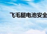 飞毛腿电池安全吗（飞毛腿电池真假）