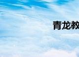 青龙教练（青龙教）