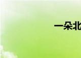 一朵北漂（一丸团）