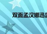 双面孟汉娜迅雷下载（双面孟汉娜）