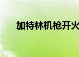 加特林机枪开火视频（加特林散弹枪）