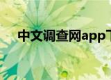 中文调查网app下载安装（中文调查网）