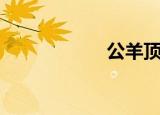 公羊顶人（公羊羽）