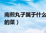 南煎丸子属于什么菜系（南煎丸子是什么地方的菜）