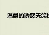 温柔的诱惑天鸽扮演者（梁琛个人资料）