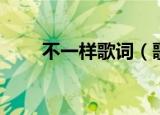 不一样歌词（歌曲不一样完整歌词）