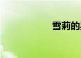 雪莉的黑暗治疗法杖