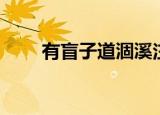 有盲子道涸溪注释（有盲子道涸溪）