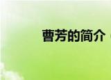 曹芳的简介（关于曹芳的简介）