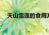 天山雪莲的食用方法（天山雪莲怎么吃）