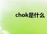 chok是什么（chok是什么意思）