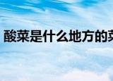 酸菜是什么地方的菜（酸菜是什么地方的菜）