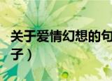 关于爱情幻想的句子（关于爱情幻想的唯美句子）
