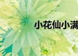 小花仙小满（小花仙小游戏）