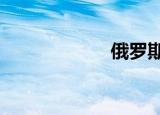 俄罗斯（e书地带）