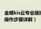 金蝶kis云专业版操作流程（金蝶kis云专业版操作步骤详解）