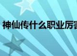 神仙传什么职业厉害（神仙传什么职业厉害）