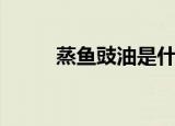蒸鱼豉油是什么（蒸鱼豉油简介）