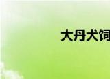 大丹犬饲养（大丹犬舍）