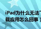iPad为什么无法下载应用程序（iPad没法下载应用怎么回事）
