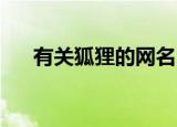 有关狐狸的网名（关于阿狸的qq网名）