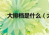 大排档是什么（大牌档食物种类有哪些）