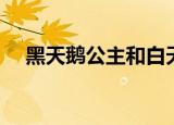 黑天鹅公主和白天鹅公主（白天鹅公主）