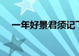 一年好景君须记下一句（完整诗句介绍）