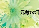 元尊txt下载（元元合集）