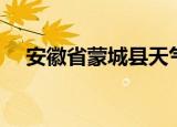 安徽省蒙城县天气（安徽省蒙城县邮编）