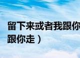 留下来或者我跟你走什么意思（留下来或者我跟你走）