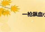 一枪飙血小说（一枪飙血）