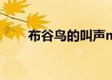 布谷鸟的叫声mp3（布谷鸟的叫声）