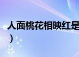 人面桃花相映红是什么意思（人面桃花相映红）