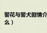警花与警犬剧情介绍（这部剧讲述的内容是什么）