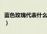 蓝色玫瑰代表什么象征意义（蓝色玫瑰的意义）