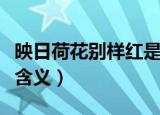 映日荷花别样红是什么意思（映日荷花别样红含义）