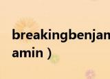 breakingbenjamin演唱会（breakingbenjamin）