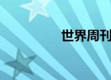世界周刊（世界喊话宏）