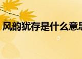 风韵犹存是什么意思（风韵犹存解释及出处）