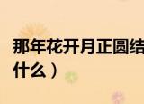 那年花开月正圆结局（那年花开月正圆结局是什么）