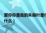 爱你你是我的朱丽叶是什么歌（爱你你是我的朱丽叶歌名是什么）
