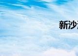 新沙洞的那个人