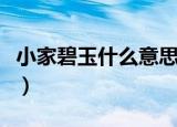 小家碧玉什么意思（怎么理解小家碧玉的意思）